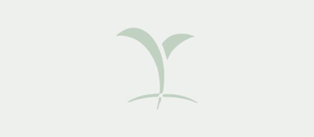 safe-storage-guidelines-for-crop-protection-products